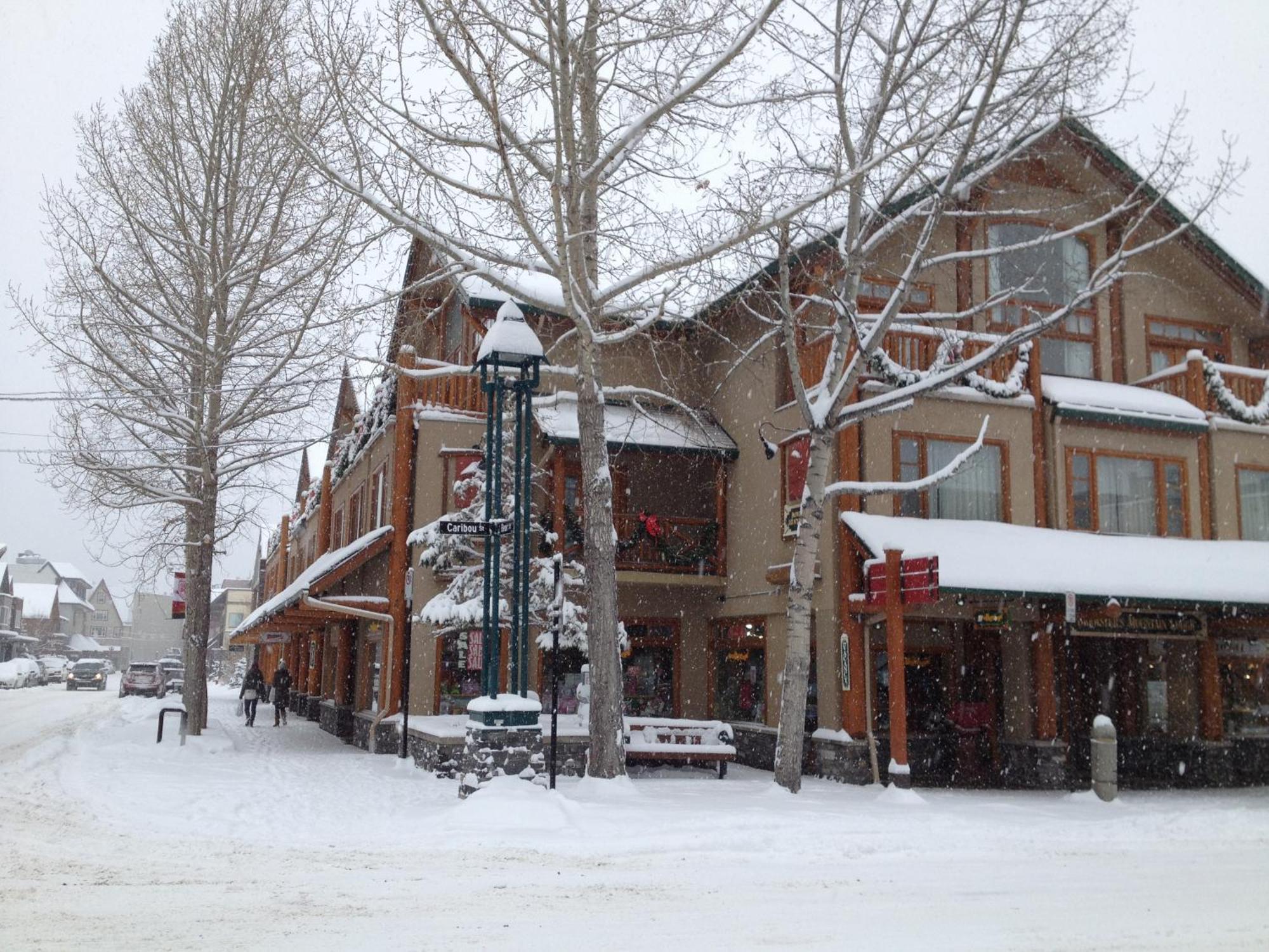 Brewster Mountain Lodge Banff Exteriör bild